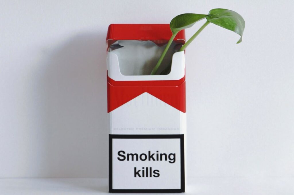 cigarette package with label smoking kills